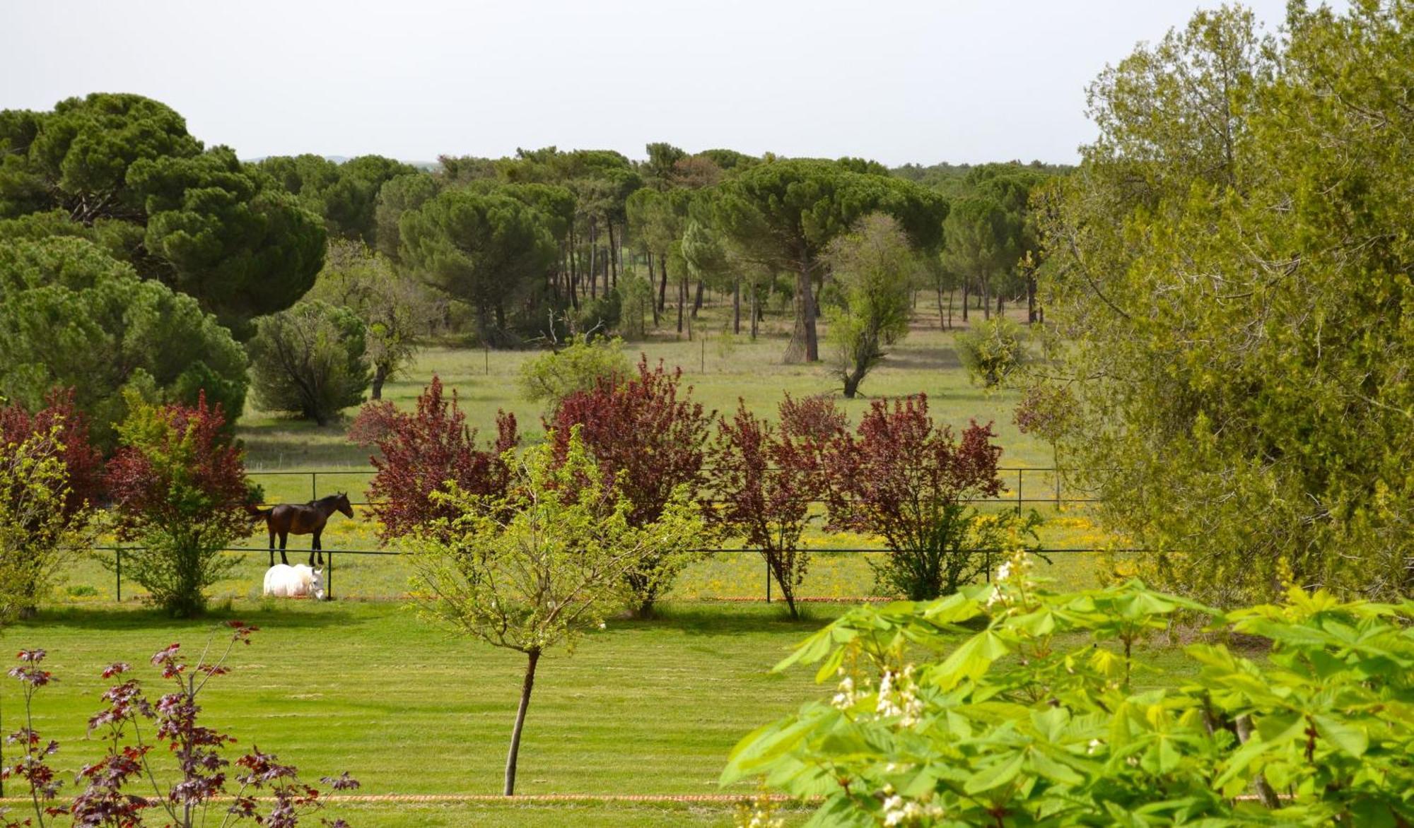 Pozal de Gallinas Posada Real Del Pinar מראה חיצוני תמונה